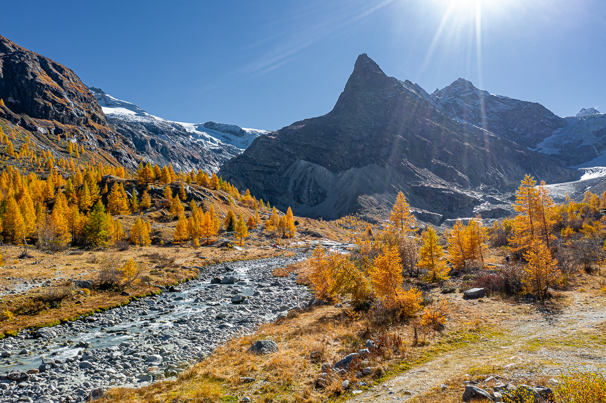 Herbstliche Lärchenwald mit Bergbach im Val d'Hérens Wallis, dramatische Bergkulisse bei Sonnenschein, Schweiz – Jan Geerk Fotograf Basel