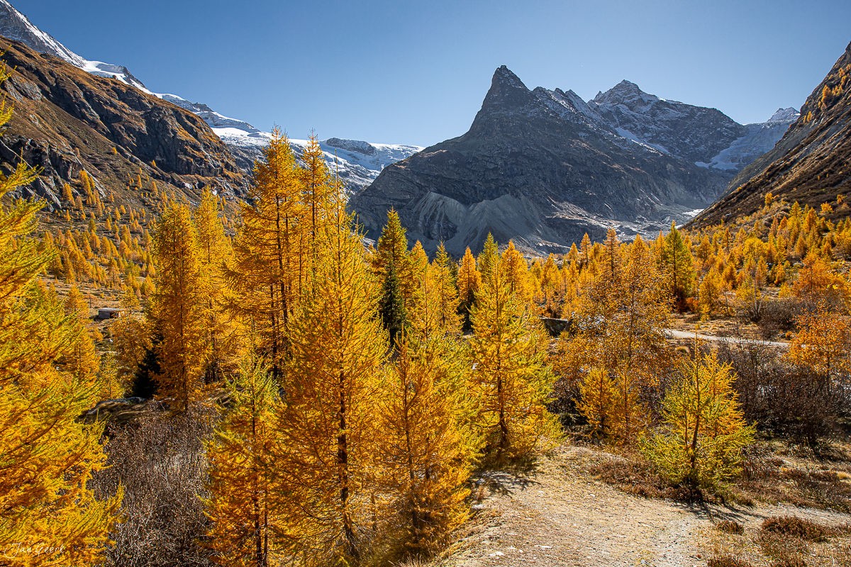 Goldene Lärchen im Herbst am Lac Bleu, Ferpècle im Wallis, Schweiz – Jan Geerk Fotograf Basel
