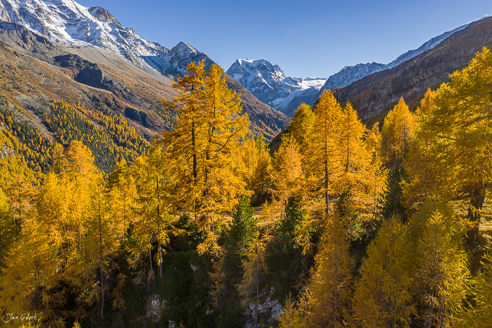 Goldener Lärchenwald im Herbst mit schneebedeckten Bergen im Val d'Hérens Wallis Schweiz – Jan Geerk Fotograf Basel