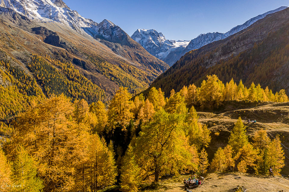 Herbstliche Lärchenwald Bergtal Wallis Schneeberge Alpen Schweiz Jan Geerk
