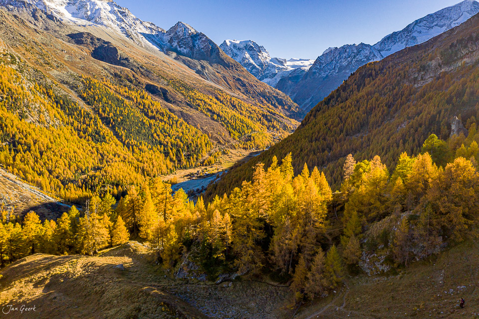 Herbstliche Lärchenwälder Lac Bleu Wallis Golden Hour Schweiz – Jan Geerk Fotograf Basel