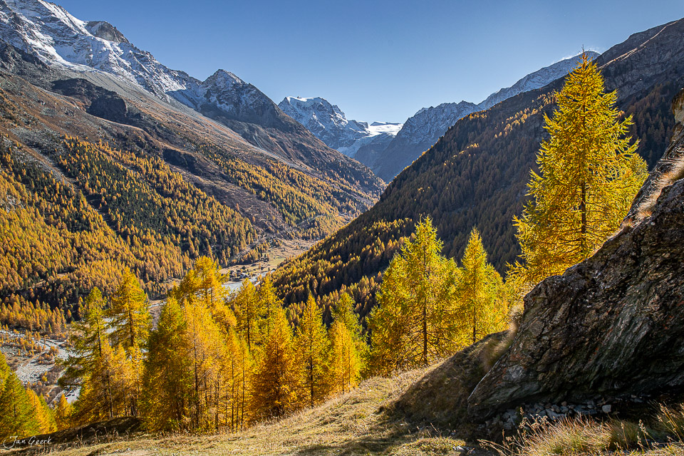Herbstliche Lärchenwälder im Val d'Hérens mit Bergpanorama, goldenes Kantlicht, Wallis Schweiz – Jan Geerk Fotograf Basel