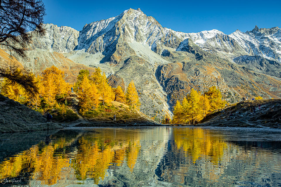 Herbstliche Lärchen spiegeln sich im Wasser des Lac Bleu in Arolla, Wallis, Schweiz – Jan Geerk Fotograf Basel