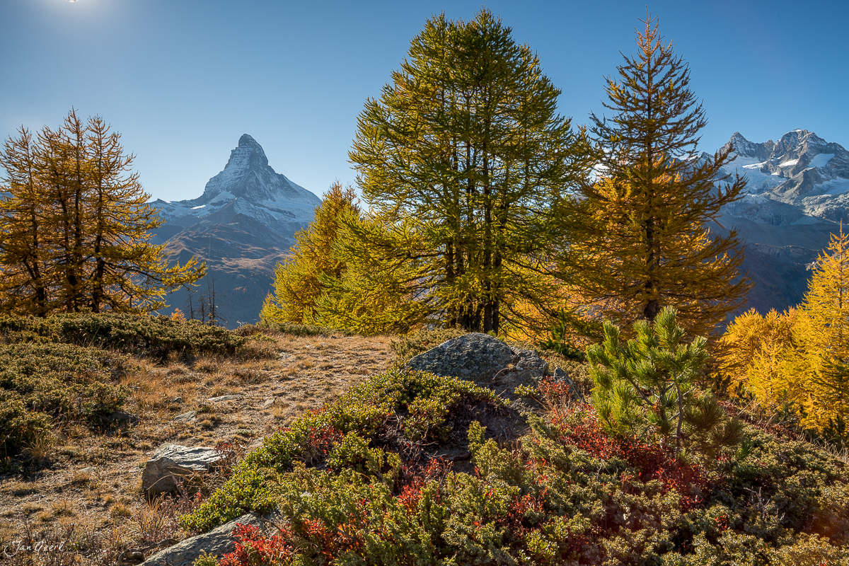 Herbstliche Lärchen und Matterhorn bei Zermatt im Wallis, Schweiz – Jan Geerk Fotograf Basel