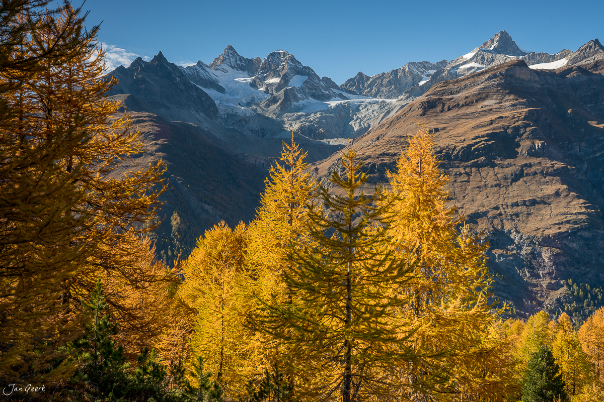 Herbstliche Lärchen mit Matterhorn und Gletscher im Hintergrund, Zermatt Wallis Schweiz – Jan Geerk Fotograf Basel