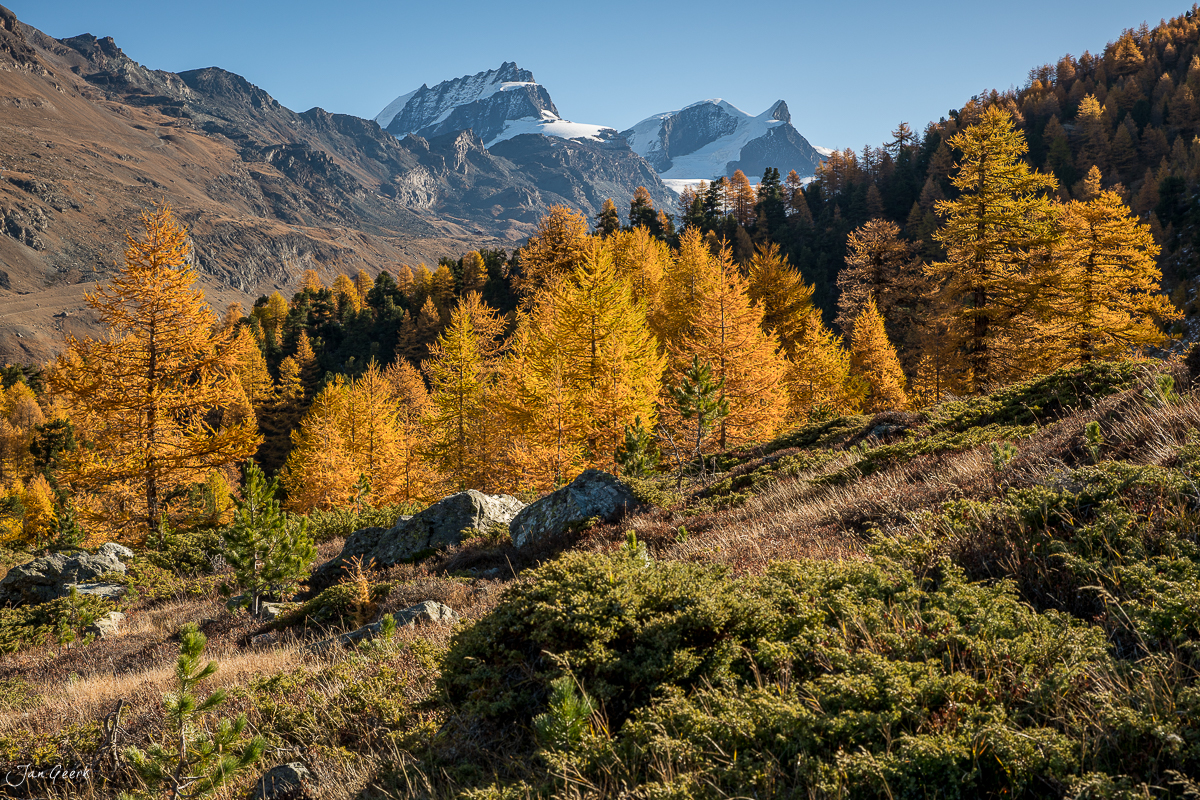 Herbstliche Lärchen und Matterhorn bei Zermatt im goldenen Herbstlicht, Wallis Schweiz – Jan Geerk Fotograf Basel
