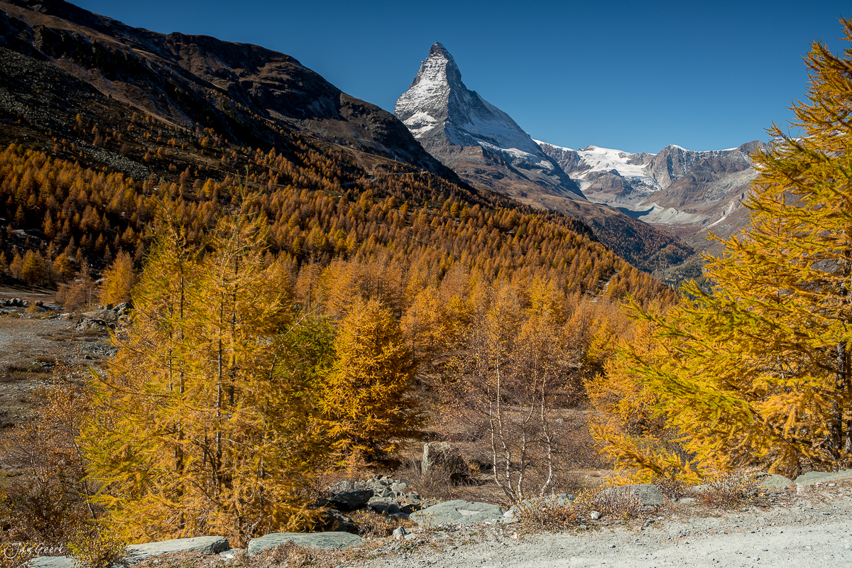Herbstliche Lärchen mit Blick auf das Matterhorn in Zermatt, Wallis, Schweiz – Jan Geerk Fotograf Basel