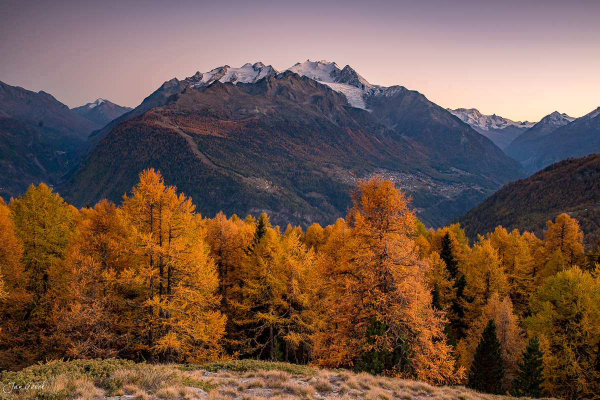 Herbstliche Lärchen und schneebedeckte Berge in Törbel Wallis Schweiz – Jan Geerk Fotograf Basel