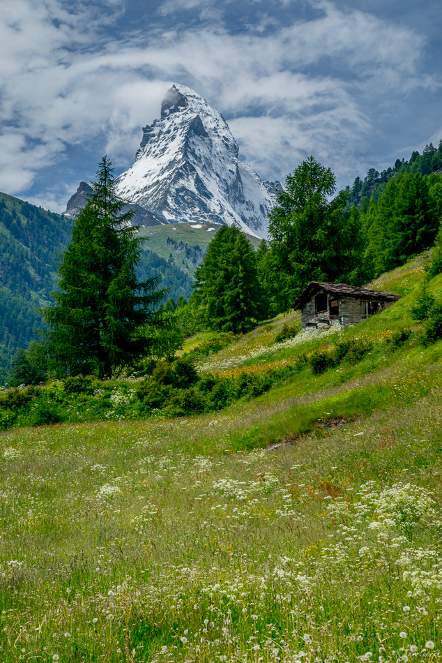 Matterhorn Berglandschaft mit Alpwiese und Lärchenwald Zermatt Sommer Wallis Schweiz – Jan Geerk Fotograf Basel