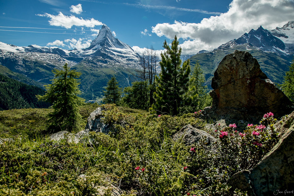 Matterhorn und Berglandschaft mit Almwiese und Blüten im Sommer bei Zermatt Wallis Schweiz – Jan Geerk Fotograf Basel