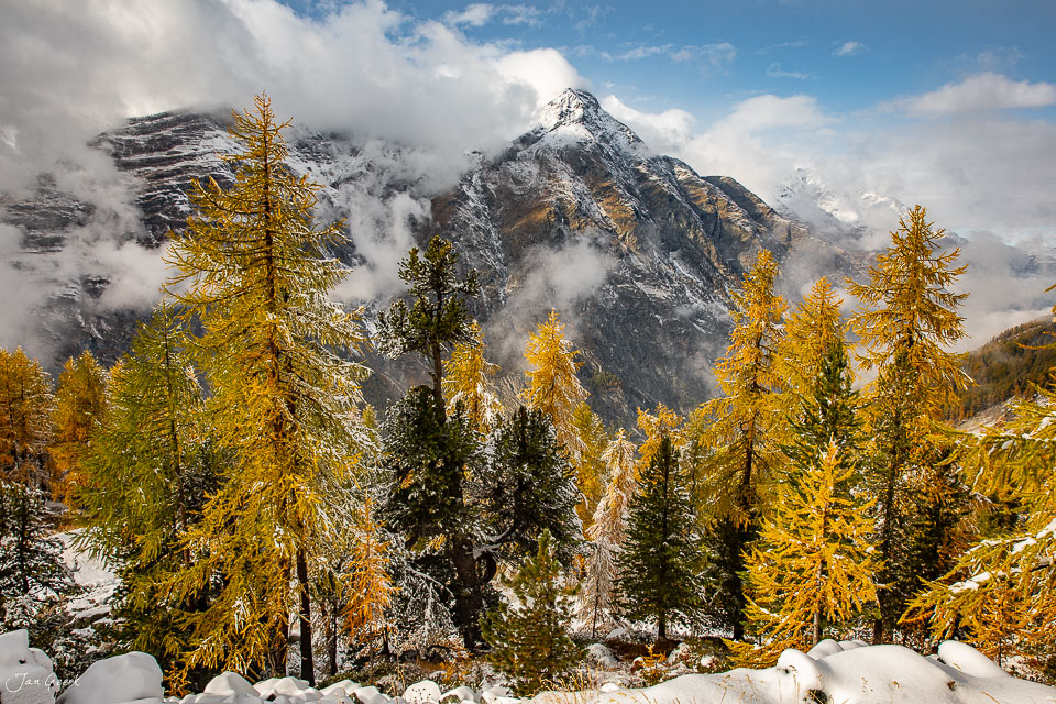 Herbstliche Lärchen im Herbst vor dem Matterhorn in Zermatt, Wallis, Schweiz – Jan Geerk Fotograf Basel