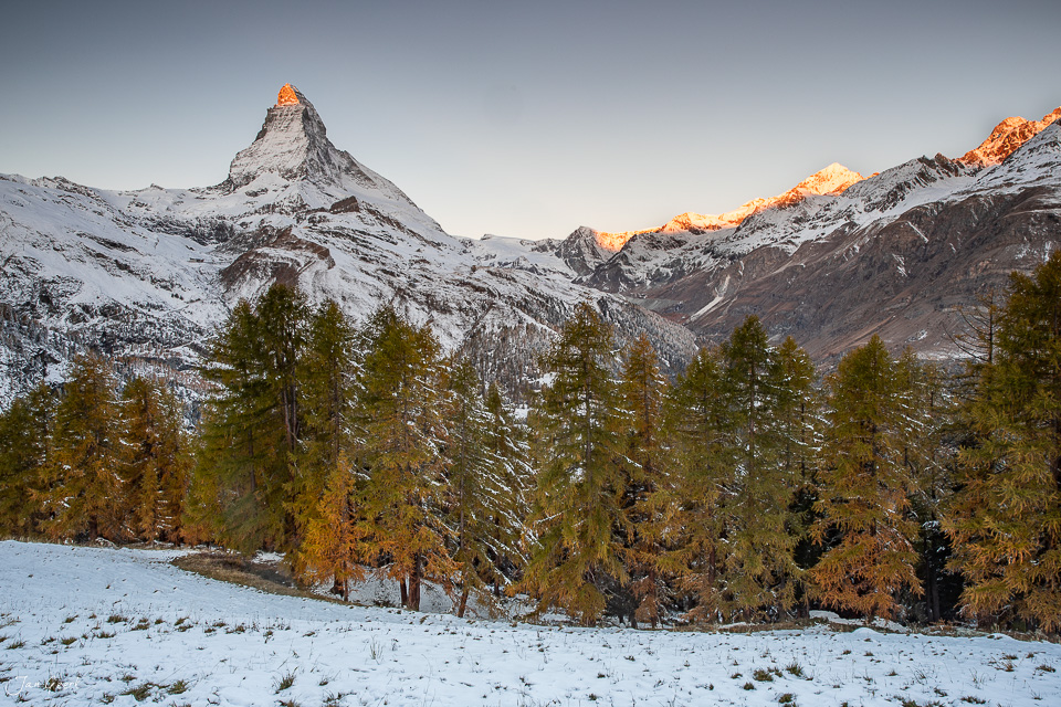 Matterhorn mit Lärchenwälder im Herbst, Schnee, Kantlicht, Wallis, Schweiz – Jan Geerk Fotograf Basel