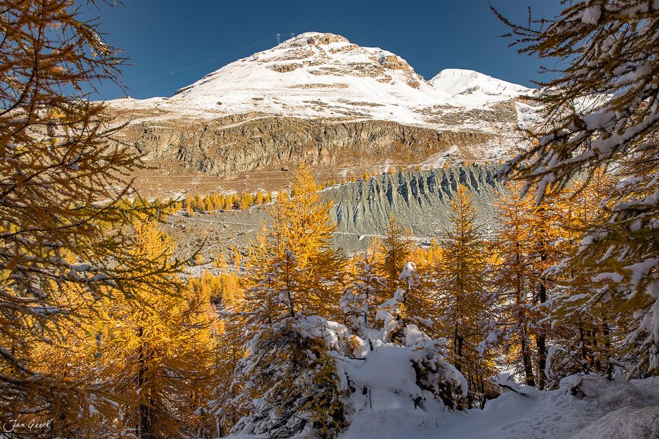 Herbstliche Lärchen bei Zermatt mit schneebedecktem Matterhorn im Hintergrund – Jan Geerk Fotograf Basel