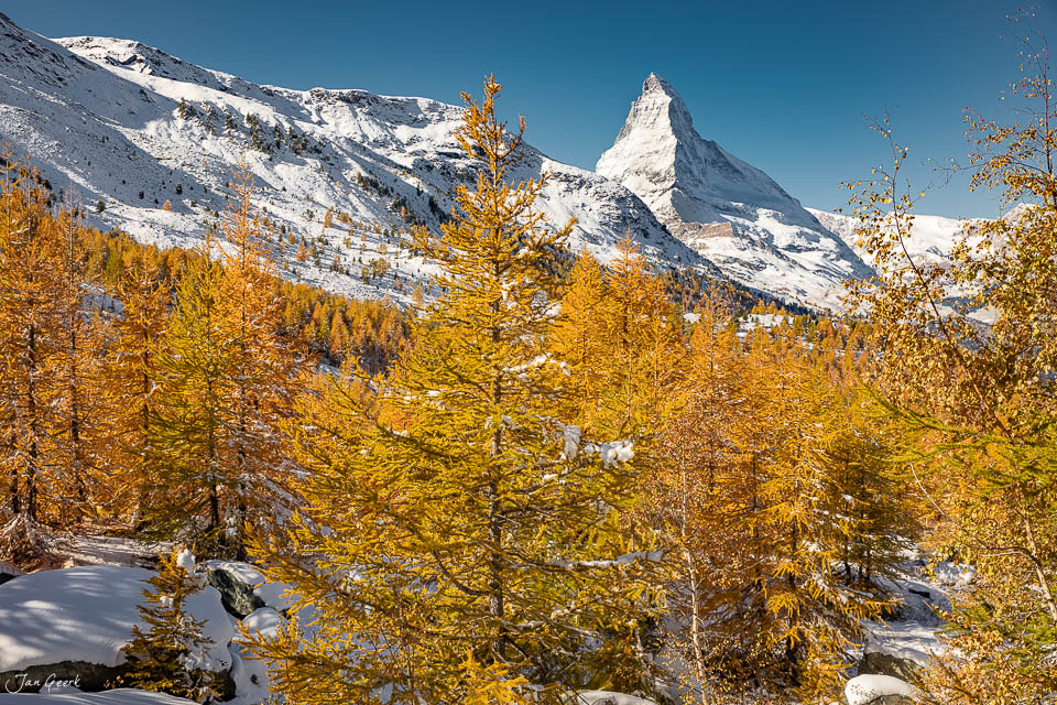 Goldene Lärchen und Matterhorn im Herbst in Zermatt, Wallis, Schweiz – Jan Geerk Fotograf Basel