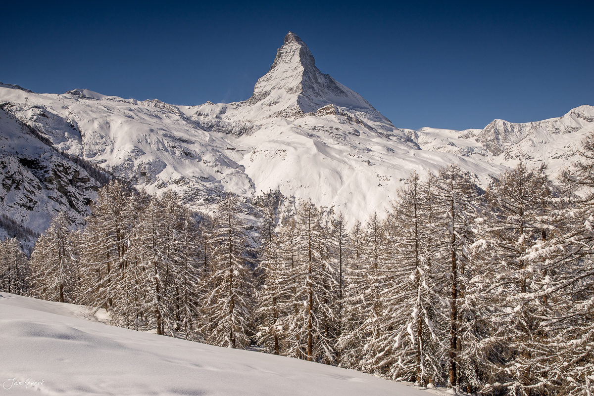 Schneebedeckte Lärchen und Matterhorn bei Zermatt, Winterlandschaft Wallis Schweiz – Jan Geerk Fotograf Basel