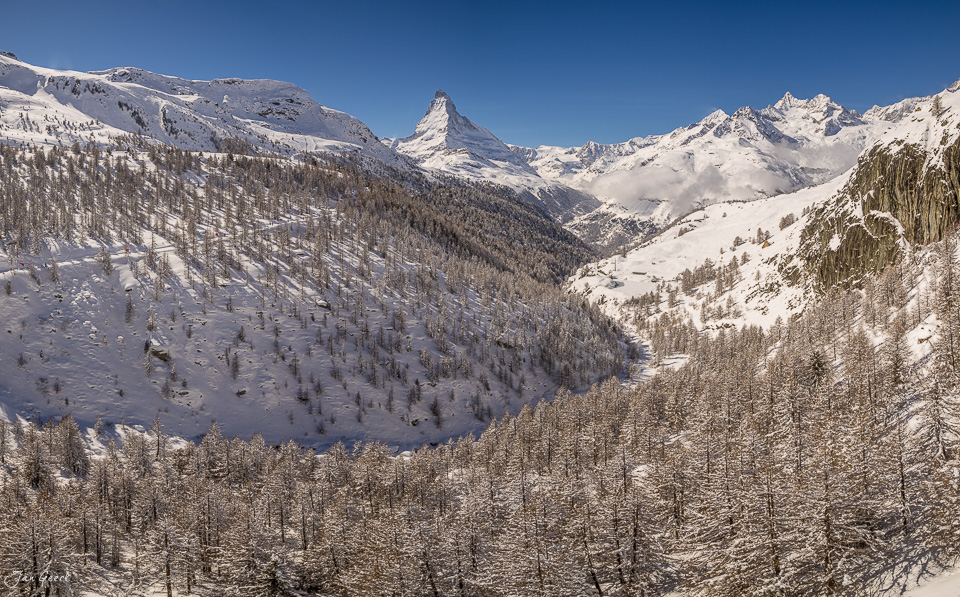Schneebedeckte Lärchenlandschaft mit Matterhorn im Hintergrund bei Zermatt im Wallis Schweiz von Jan Geerk Fotograf Basel