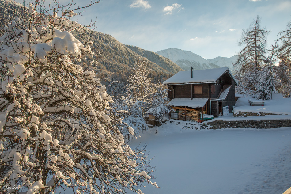 Schneebedeckte Lärchen und Berghütte im Goms bei Winterlicht, Wallis Schweiz – Jan Geerk Fotograf Basel