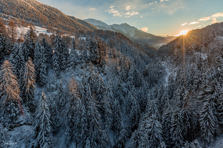 Schneebedeckte Lärchenwälder bei Goms im Wallis während goldener Stunde, Winterlandschaft Schweiz – Jan Geerk Fotograf Basel