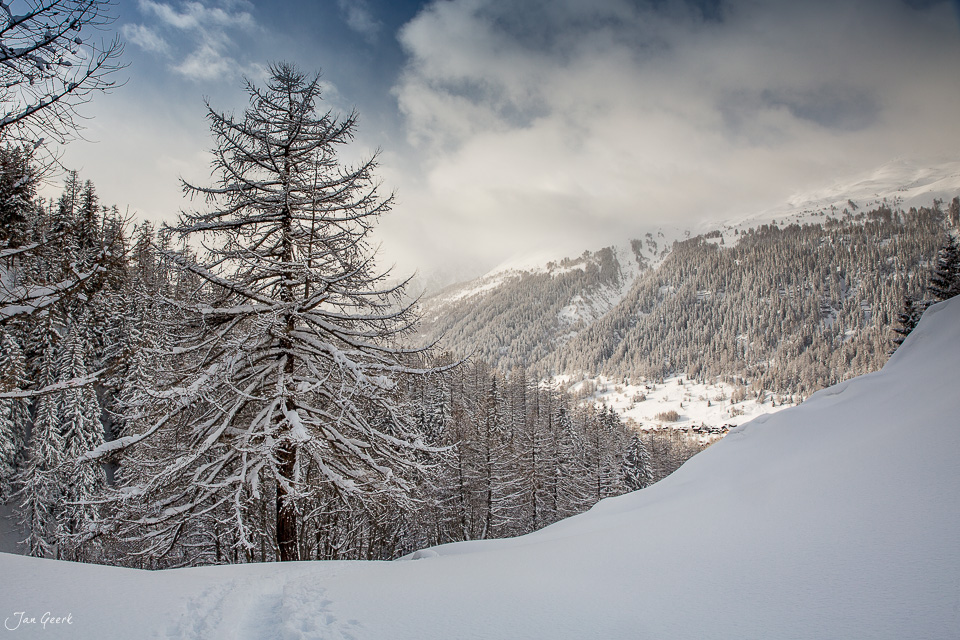 Verschneite Lärchenwälder und Berglandschaft in Obergoms im Winter, Wallis Schweiz – Jan Geerk Fotograf Basel