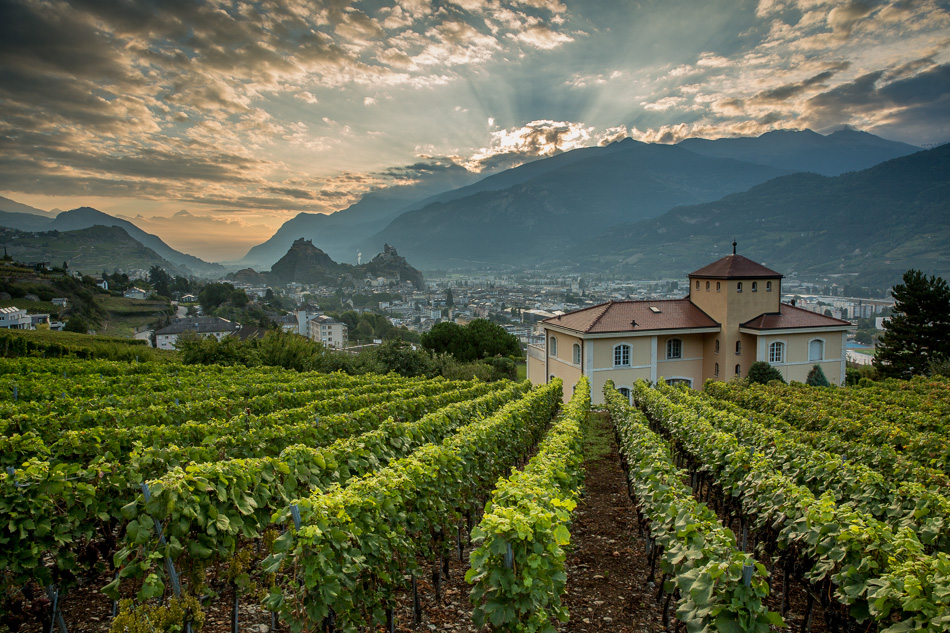 Weinberge und Schloss bei Sion mit Alpenpanorama im Rhonetal Wallis Schweiz – Jan Geerk Fotograf Basel