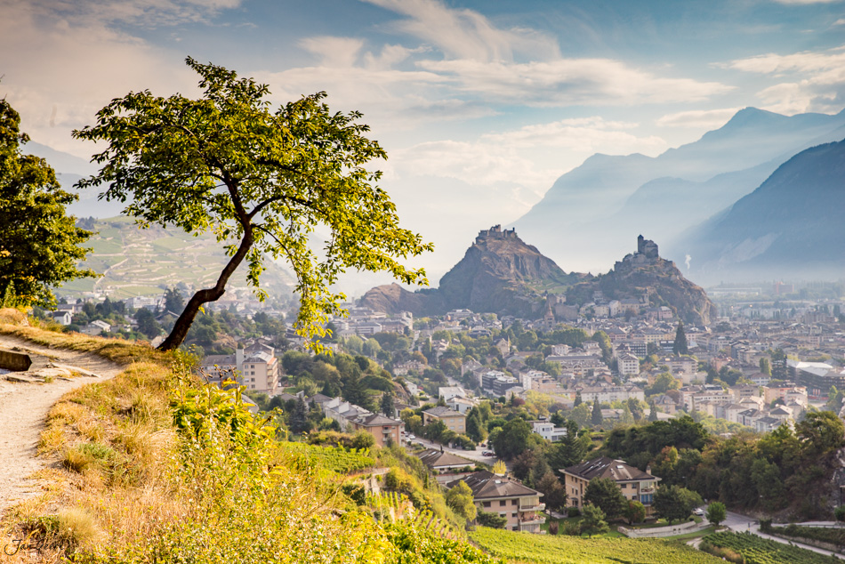 Blick auf Sion mit Château de Tourbillon, grüner Baum im Vordergrund, Berglandschaft, Wallis Schweiz – Jan Geerk Fotograf Basel