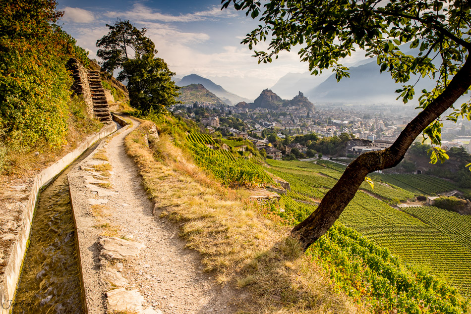 Weinberge und Wanderweg oberhalb von Sion mit Blick auf die Stadt und Berge im Herbst, Wallis Schweiz – Jan Geerk Fotograf Basel