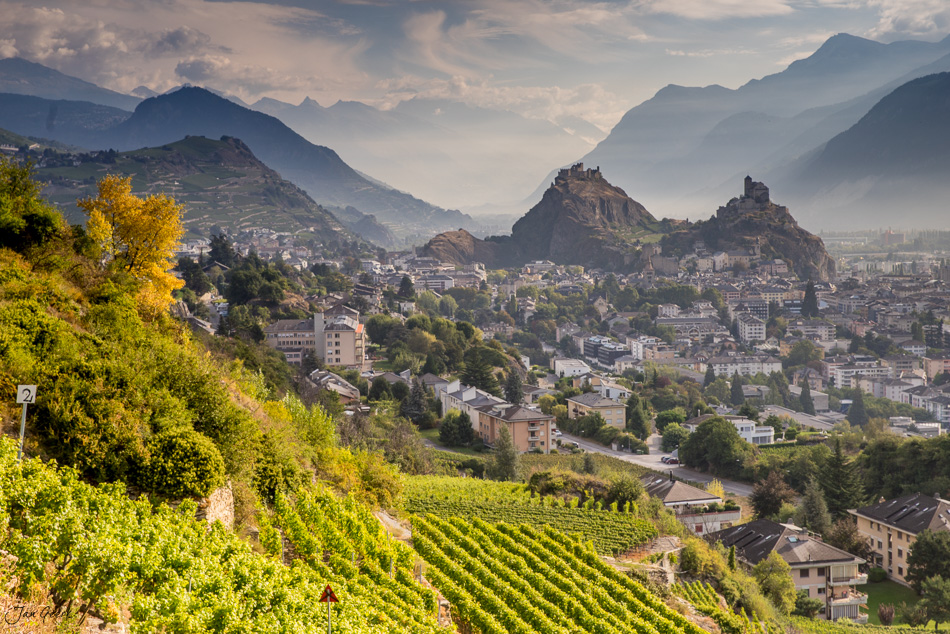 Rebberg und Altstadt von Sion mit Burgen Tourbillon und Valère im Herbst, Wallis Schweiz – Jan Geerk Fotograf Basel