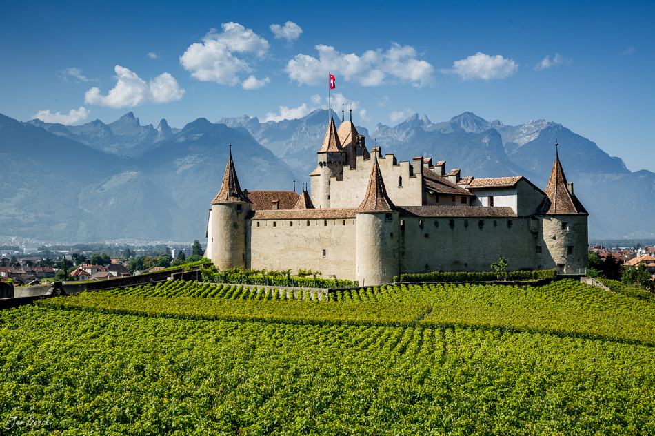 Schloss Aigle mit Weinbergen und Alpenkulisse im Sommer, Wallis Schweiz – Jan Geerk Fotograf Basel