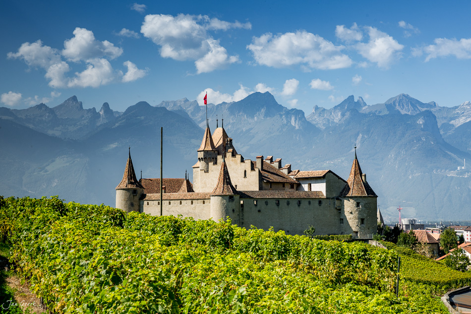 Schloss Aigle mit Weinreben im Rhonetal, Alpen im Hintergrund, Sommerlicht, Wallis Schweiz – Jan Geerk Fotograf Basel