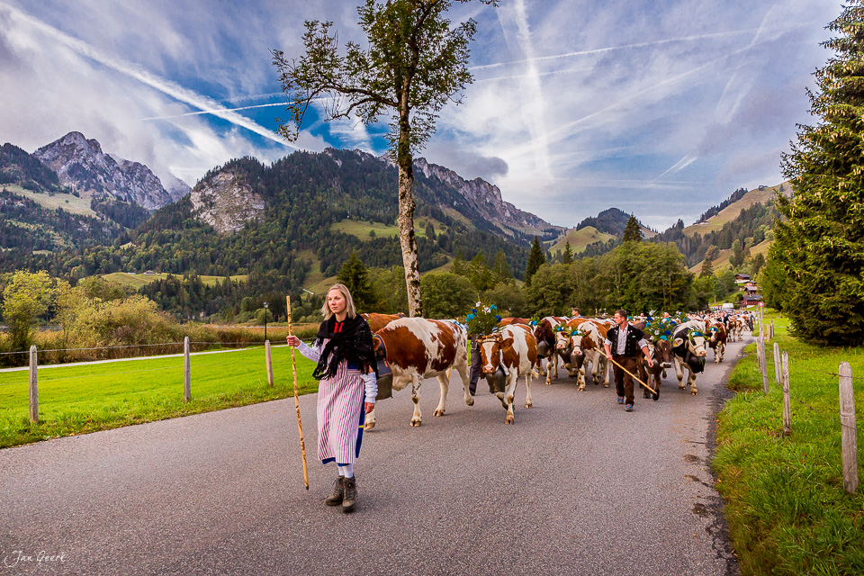 Alpabzug vom Schwarzsee mit Kühen und Hirtin in Tracht, Berglandschaft, Herbst, Fribourg Schweiz – Jan Geerk Fotograf Basel