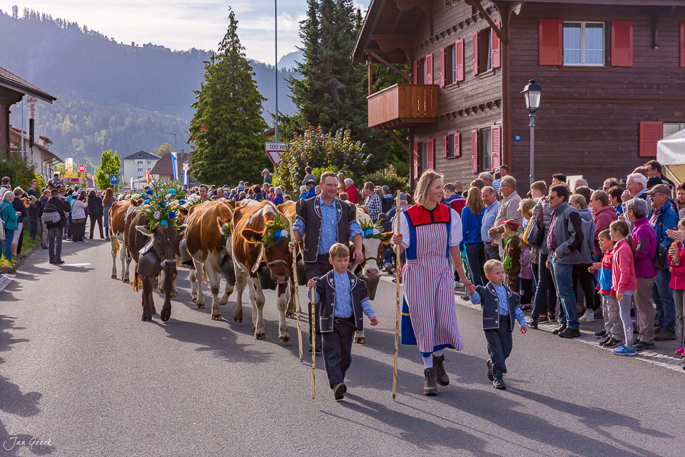Alpabzug mit geschmückten Kühen und Hirten in Schwarzsee, Herbststimmung, Fribourg Schweiz – Jan Geerk Fotograf Basel