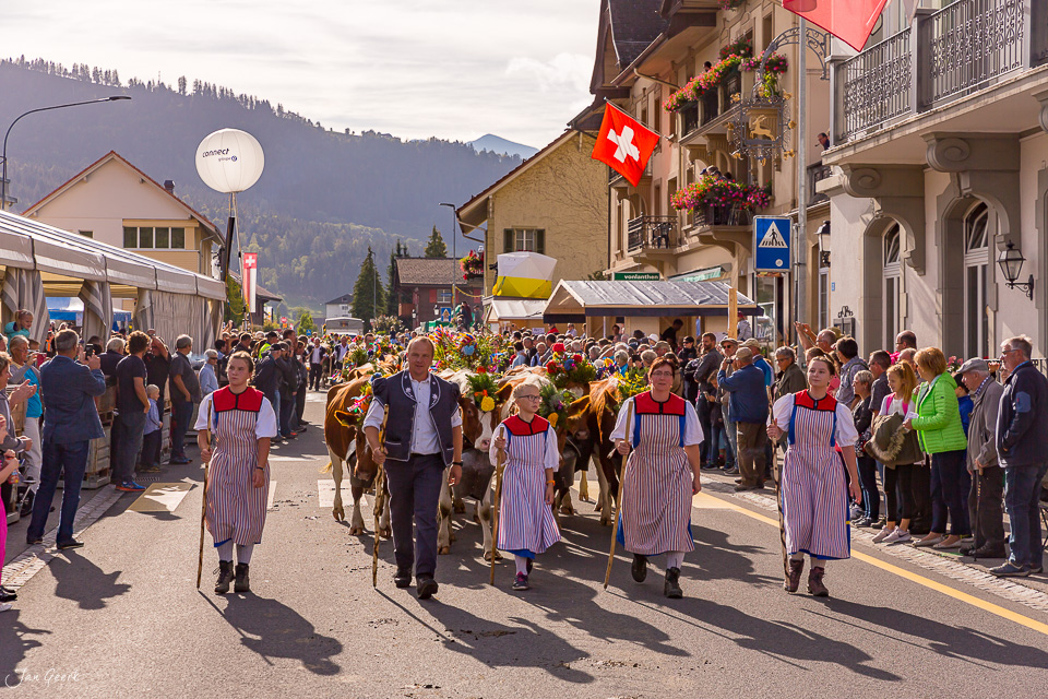 Alpabzug Schwarzsee mit Kühen und Alphirten in Trachten, Herbstlicht, Fribourg Schweiz – Jan Geerk Fotograf Basel