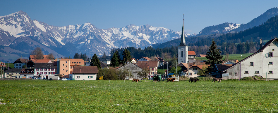 Alpendorf Freiburg mit Kirche Frühjahr grüne Wiesen schneebedeckte Berge Schweiz Jan Geerk Fotograf Basel