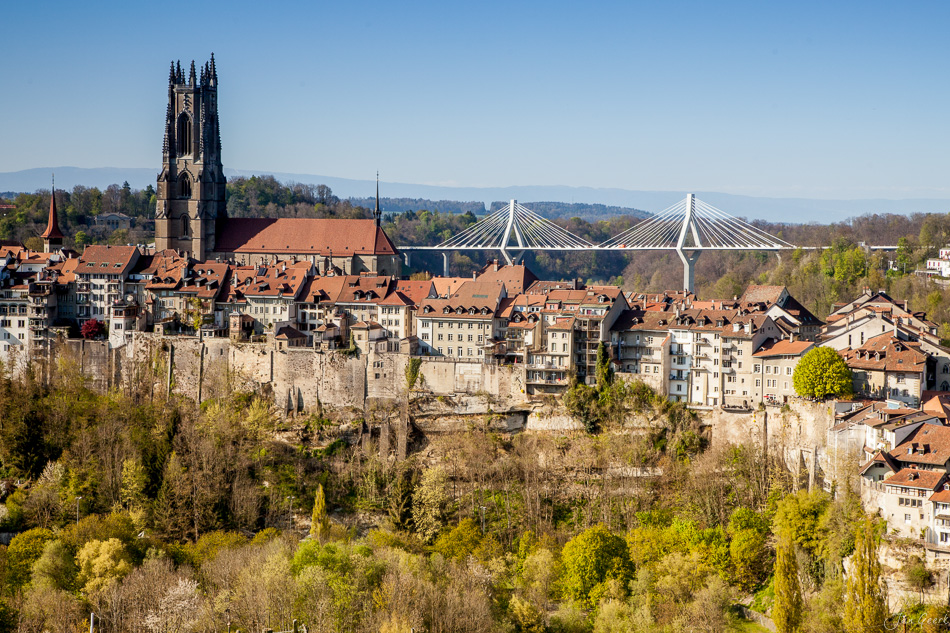 Freiburg/Fribourg Altstadt mit gotischer Kathedrale und Hängebrücke, Frühjahr, Westschweiz – Jan Geerk Fotograf Basel