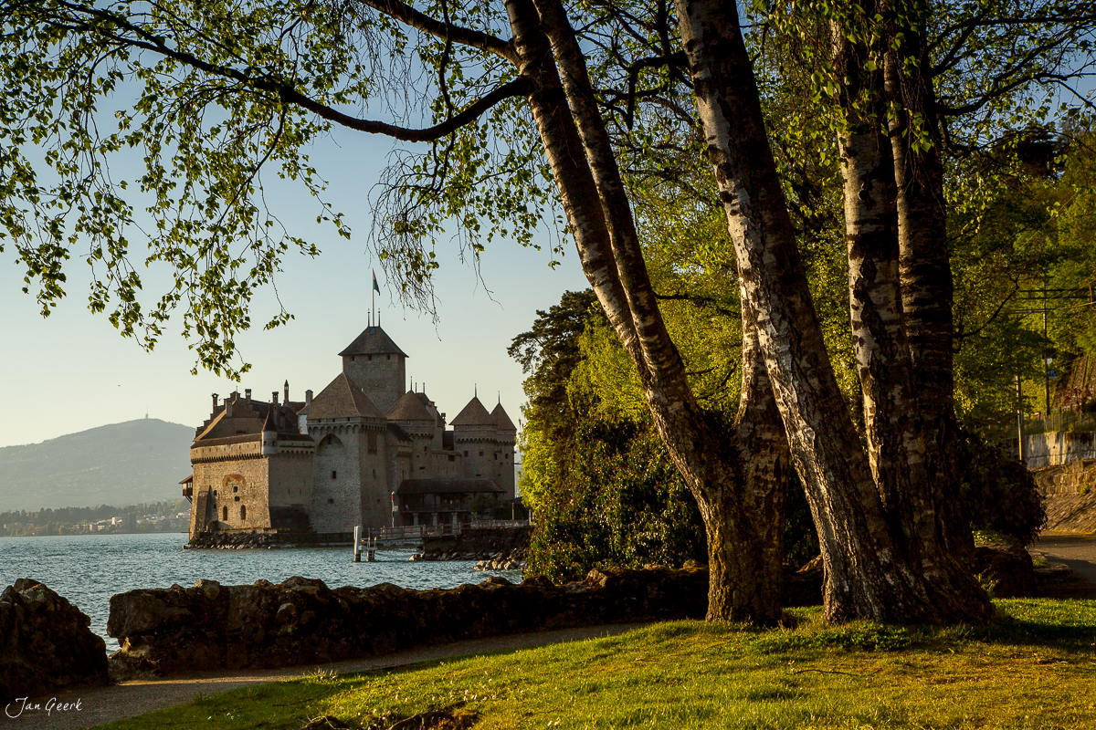 Schloss Chillon am Genfersee mit Birken im Vordergrund, Sonnenlicht Sommer, Westschweiz Schweiz – Jan Geerk Fotograf Basel