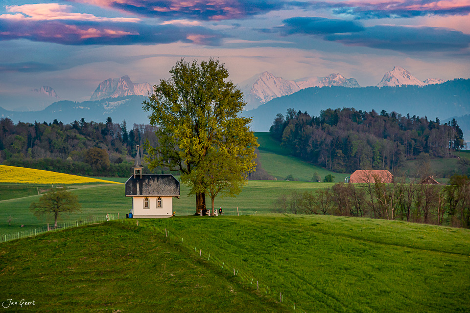 Kleine Kapelle mit Baum in grüner Landschaft, Alpenpanorama im Hintergrund, Frühlingsstimmung, Westschweiz – Jan Geerk Fotograf Basel