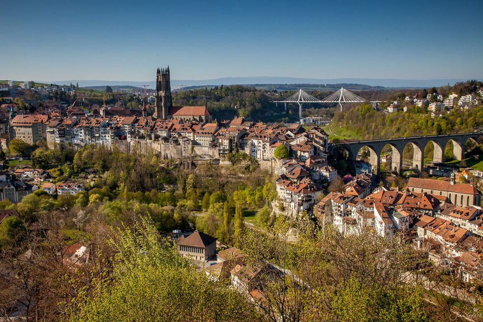 Freiburg/Fribourg Altstadt mit Kathedrale und Saanetalviadukt Frühling Schweiz – Jan Geerk Fotograf Basel
