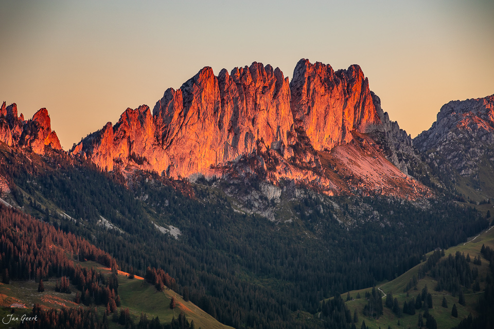Alpengipfel Gastlosen im Abendlicht mit Lärchenwald Fribourg Schweiz – Jan Geerk Fotograf Basel