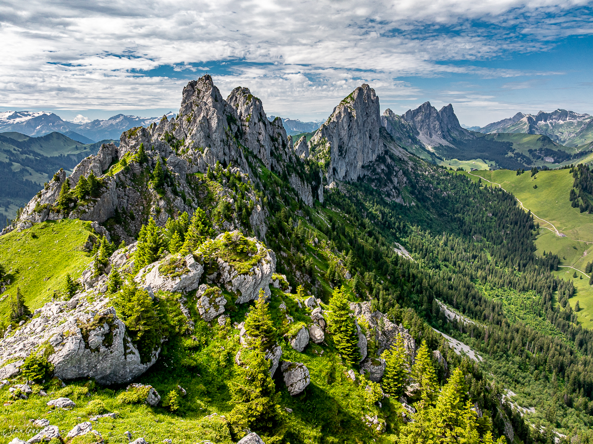 Dramatische Kalkfelsen Gastlosen mit grünen Alpweiden, Sommeraufnahme Voralpen Schweiz – Jan Geerk Fotograf Basel