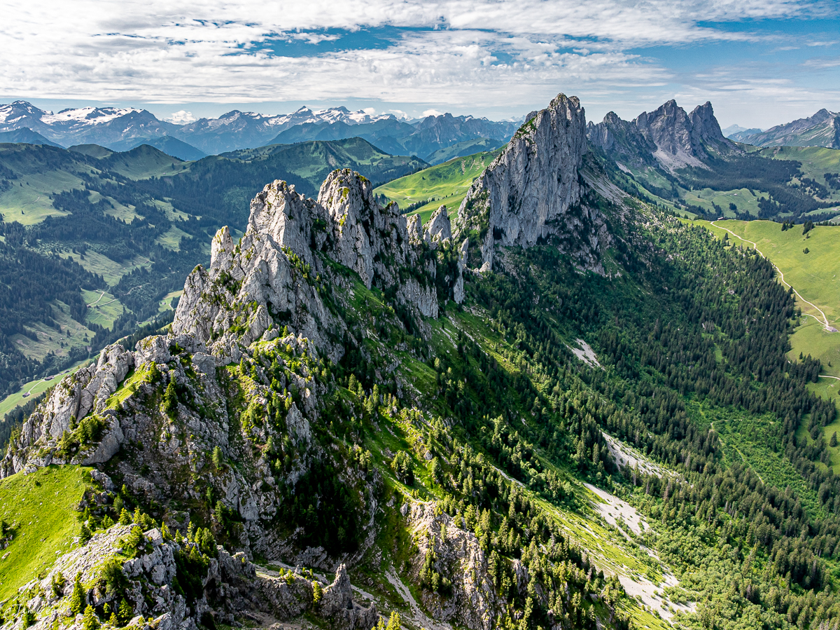 Dramatische Kalkfelsen der Gastlosen mit grünen Alpweiden, Sommerluft, Voralpen Bern Fribourg Schweiz – Jan Geerk Fotograf Basel