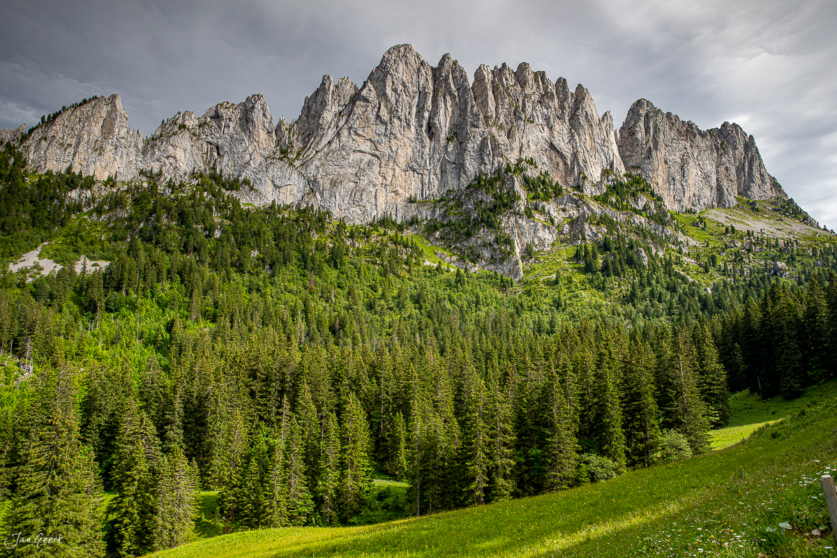 Dramatische Kalkfelsen der Gastlosen mit Nadelwald im Sommer, Berner Oberland Schweiz – Jan Geerk Fotograf Basel