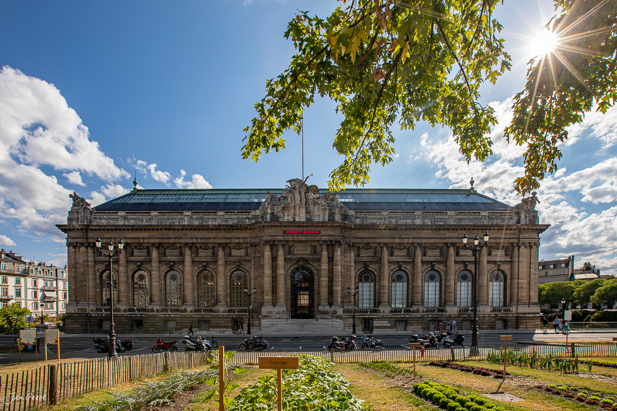 Klassizistische Museumsfassade in Genf bei Sonnenschein, sommerliche Architektur in der Westschweiz – Jan Geerk Fotograf Basel