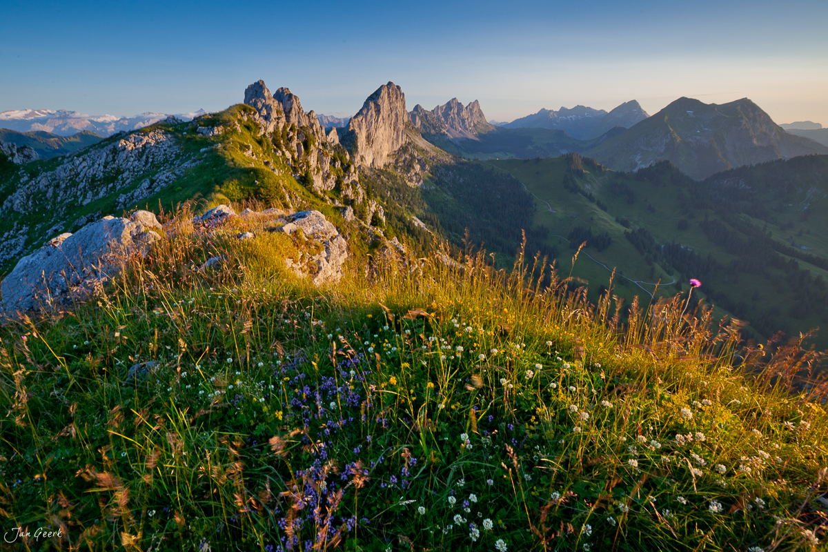 Gastlosen Alpwiese Abendlicht Freiburger Voralpen Kanton Freiburg / Fribourg Schweiz – Jan Geerk Fotograf Basel