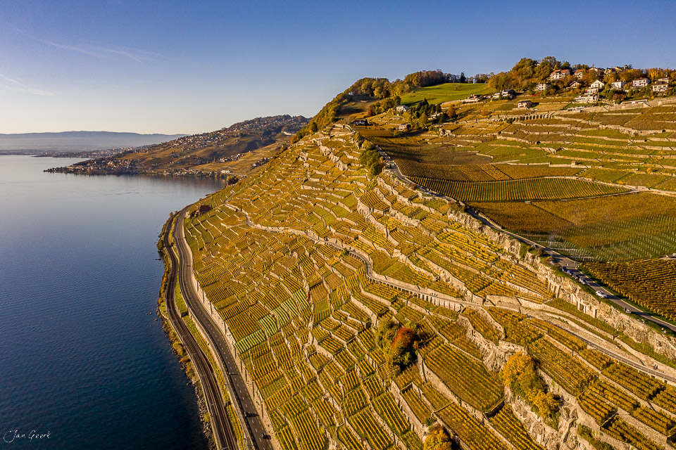 Herbstliche Weinberge in Lavaux am Genfersee mit Dorfhaus und Seeufer, Luftaufnahme Schweiz – Jan Geerk Fotograf Basel