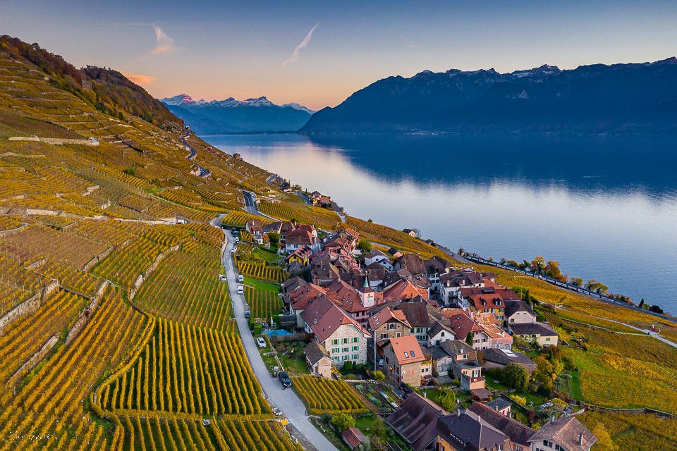 Rebberge und Dorf Lavaux am Genfersee im Herbstlicht, Luftaufnahme Schweiz – Jan Geerk Fotograf Basel
