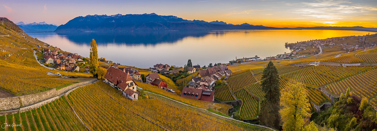 Lavaux Herbst Luftaufnahme Rebberge Genfersee Golden Hour Sonnenaufgang Waadt Schweiz Jan Geerk Fotograf Basel