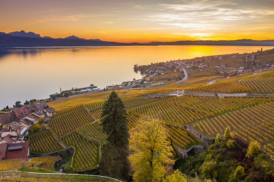 Herbstliche Weinreben und Genfersee bei Lavaux in der Westschweiz mit Sonnenuntergang – Jan Geerk Fotograf Basel