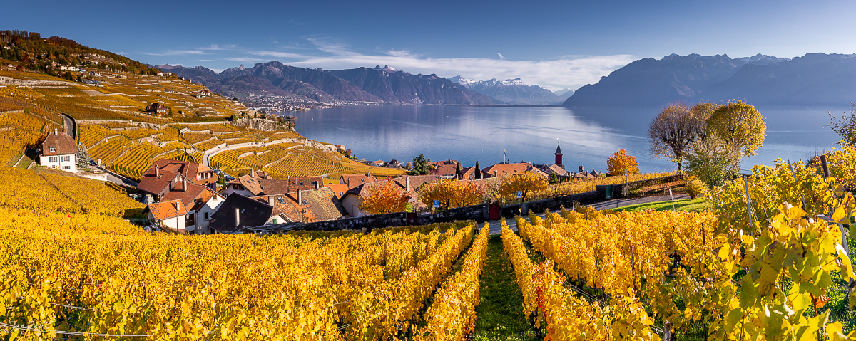 Herbstliche Reblandschaft Lavaux am Genfersee mit goldgelben Weinreben und Dorfkapelle Schweiz Jan Geerk Fotograf Basel
