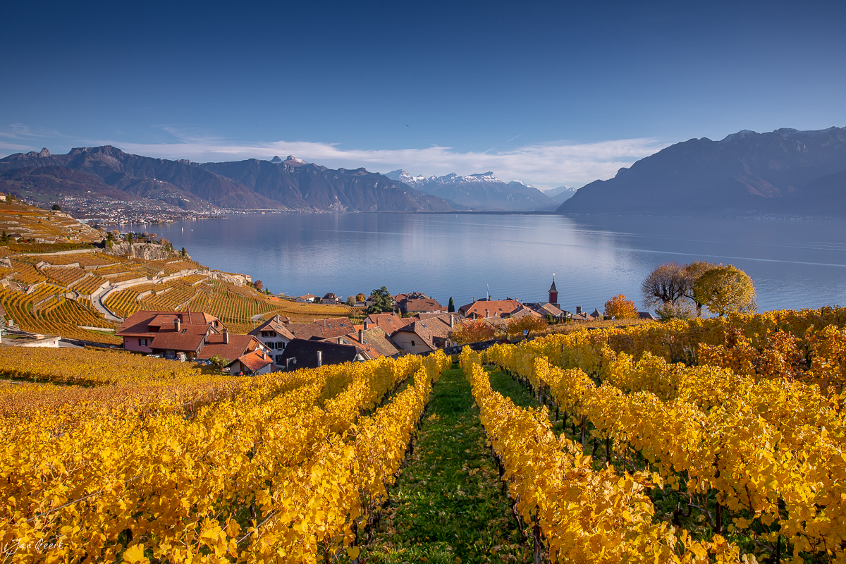 Herbstliche Rebberge in Lavaux mit See und Bergpanorama, Westschweiz – Jan Geerk Fotograf Basel