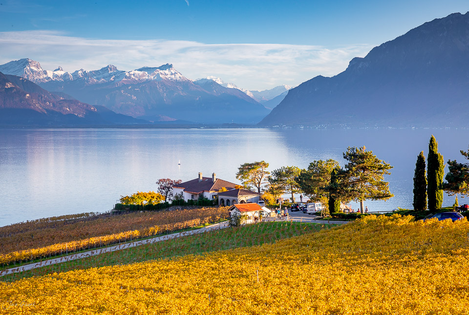 Herbstliche Weinberge in Lavaux mit See und Alpenpanorama in der Westschweiz – Jan Geerk Fotograf Basel